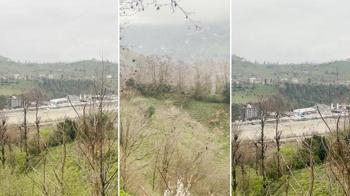 Rize'de gökyüzünde süzülen şahin sürüsü kamerada