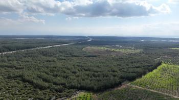 ‘81 İlde 81 Orman’ projesi ilkbahar dikimleriyle devam ediyor