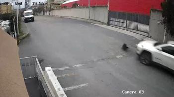 Avcılar’da cip sürücüsü köpeği ezdi yoluna devam etti