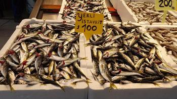 Av yasağı yaklaştı; hamsi yerini istavrite bıraktı