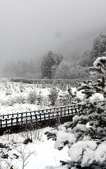 Abant, beyaz örtüyle kaplandı