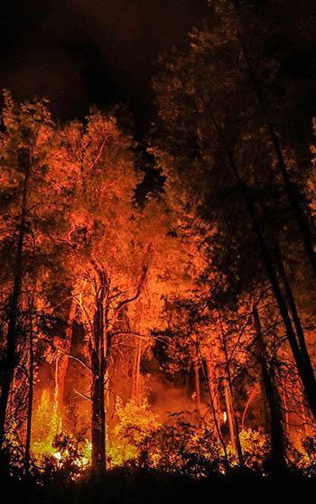 2025'te ihmal, dikkatsizlik, kasıt ve kazadan 1933 orman yangını çıktı