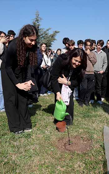 Yürüyen Köşk'ün simgesi olan çınardan elde edilen fide, Anıtkabir'de toprakla buluştu