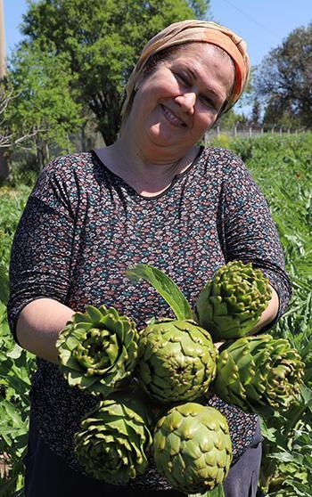 İzmir'de enginar mesaisi