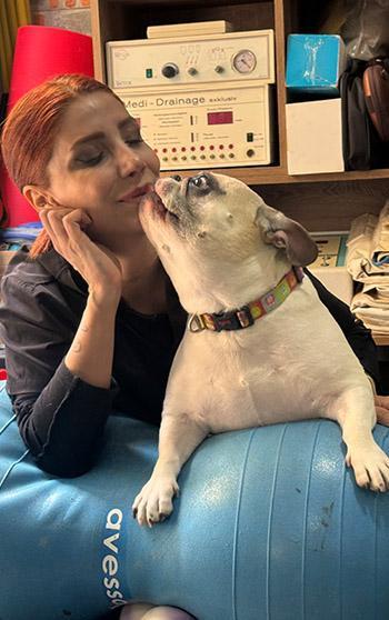 Obez köpek 'Ori' pilatesle zayıflıyor