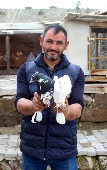 Hobi olarak başladığı güvercin tutkusunu 35 yıldır sürdürüyor
