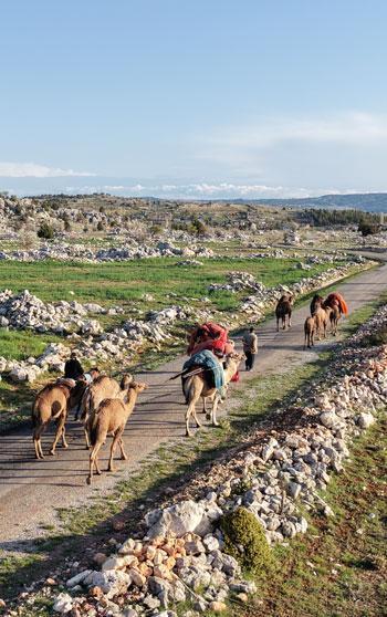 Yörüklerin yayla göçü başladı