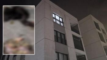 Başakşehir'de sitede 4 yavru kedi parçalanarak öldürüldü iddiası