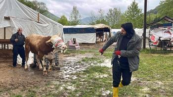 Derenin debisi arttı; iş yerleri ve kurbanlık pazarı tahliye edildi