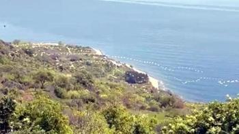 Gökyüzünü süsleyen pelikanların geçişi kamerada