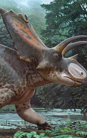 Tayland'da yeni bir dinozor türüne ait kalıntılar bulundu