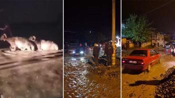 Hatay'da sağanak; hayvan pazarını su bastı