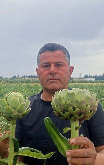 KKTC'de ilk kez yediği enginarı memleketinde üretti