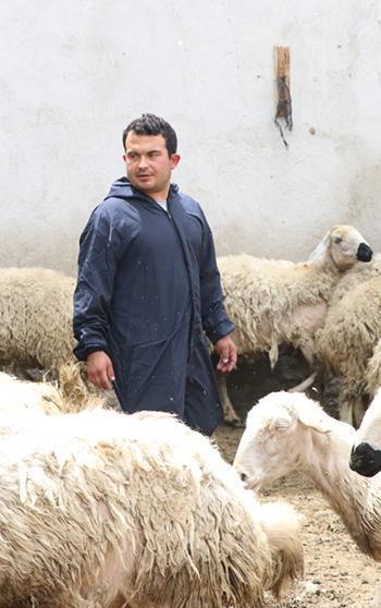 Hayvan sevgisiyle sağlığına kavuştu; köyüne dönüp modern tarım ve hayvancılığa başladı