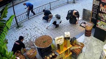 'Sakar' kedinin devirdiği cevizleri hep birlikte topladılar
