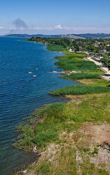 Temizliğin ardından Sapanca Gölü'nde sağlıklı sazlıklar yeniden oluştu
