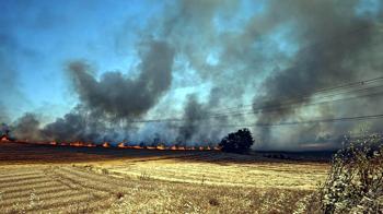 Edirne'de anız yangını; 500 dekar tarım arazisi zarar gördü