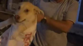 Çuvala koyulan köpeği, hayvansever kadın kurtardı