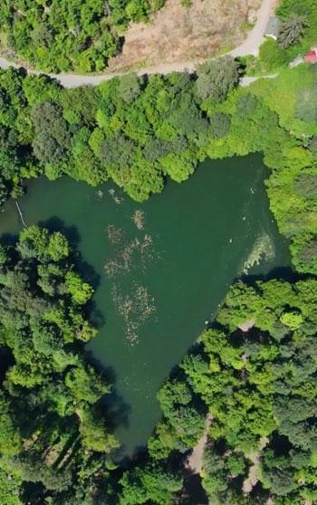 Yedigöller'in eşsiz doğası dronla görüntülendi