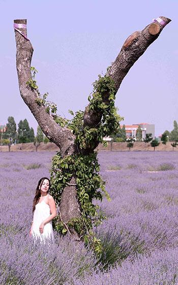 Konya’da ‘Karatay Lavanta Günleri’nde festival coşkusu