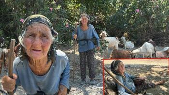 90 yaşında, elinde değneğiyle her gün merada