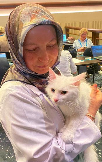 Ankara kedisi 'Lokum', yabancı basın mensuplarının ilgi odağı oldu