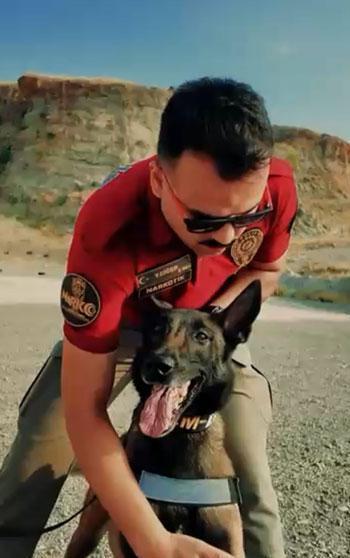 Jardi, 3'üncü kez Türkiye'nin en başarılı görev köpeği seçildi
