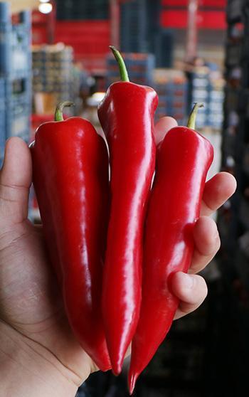 'Kasaba kapyası', lezzeti ve raf ömrüyle öne çıkıyor
