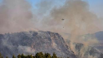 Pamukkale'de orman yangını kontrol altına alındı