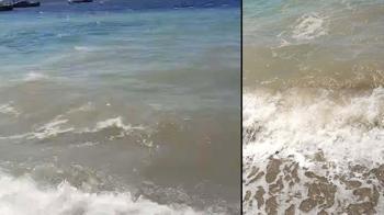 Bodrum'da deniz kirliliği; soruşturma başlatıldı
