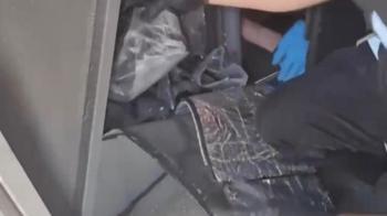 Tuzla'da yolcu otobüsündeki gizli bölmede 120 ruhsatsız silah ele geçirildi
