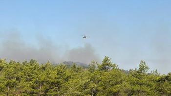 Fethiye'deki orman yangınının enerjisi düşürüldü