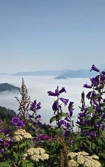 Artvin'de sis bulutu dronla görüntülendi