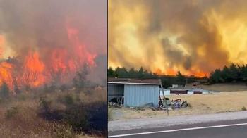 Çanakkale'de orman yangını