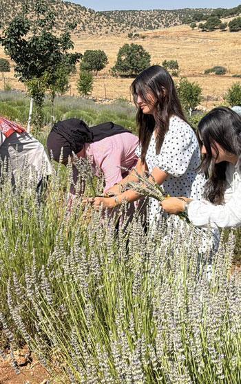 40 yıldır atıl duran arazi, kadınların emeğiyle lavanta bahçesine dönüştü
