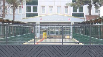 Figen'in öldüğü silahlı kavgaya ilişkin 2 tutuklama