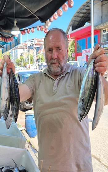 Balık tezgahlarında palamut bolluğu