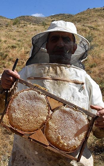 Bitlis balında yüksek rekolte beklentisi
