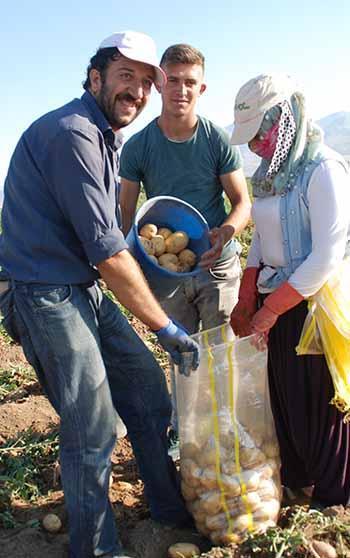 Niğde'de kilosu 25 liradan satılan patates, üreticinin yüzünü güldürdü