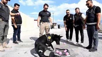 Emekli olan narkotik köpeği Naz'a duygulandıran veda