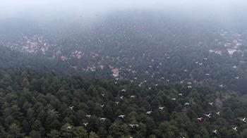 Göç yolundaki leylekler, Amanos Dağları'nda dron ile görüntülendi