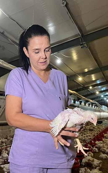 Memuriyeti bırakıp, ölen eşinin kurduğu tavuk çiftliğinin başına geçti