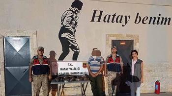 Göç yolundaki 7 arı şahinini vuran avcıya 1 milyon 356 bin TL’lik ceza
