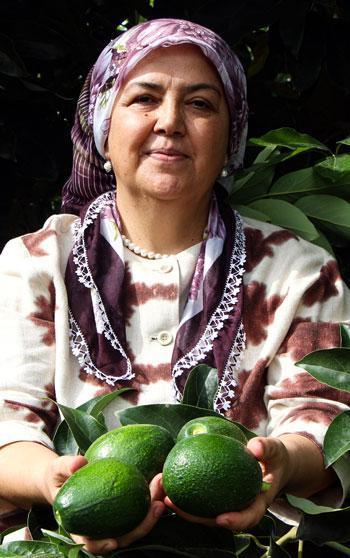 Adana'da avokadonun kilosu 110 liraya düştü