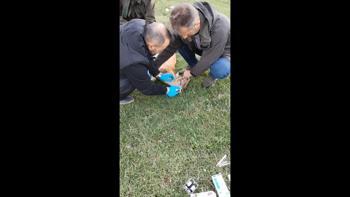 Yaban keçisi, kalp masajıyla hayata döndürüldü