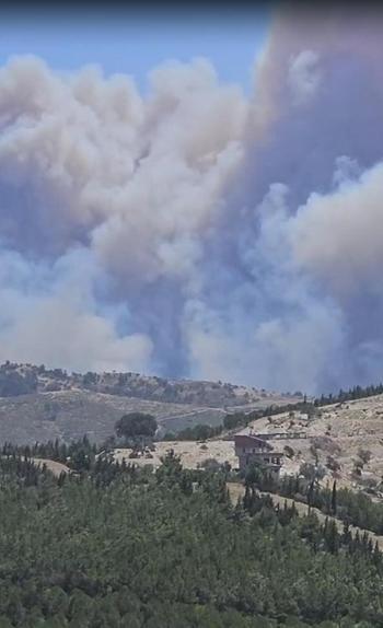 İzmirde 2 ayrı noktada orman yangını