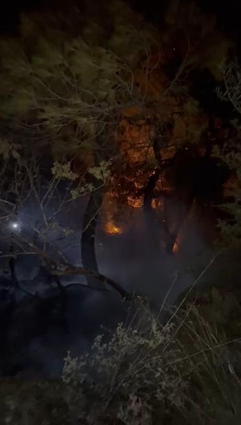 Adana’da orman yangını kontrol altında