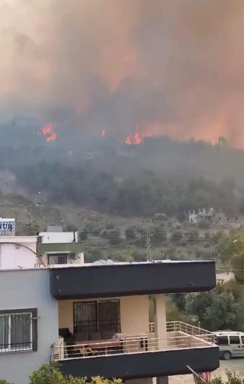 Hatayda orman yangını