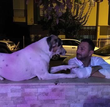 Havladığı gerekçesiyle köpeği vurup öldüren emekli polis hakkında yakalama emri