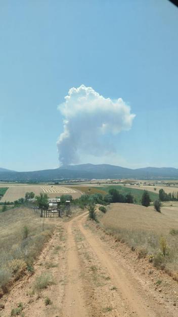 Konyada orman yangını